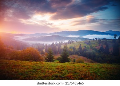 Impressive Evening Countryside Landscape With Morning Mist. Location Place Carpathian Mountains, Ukraine, Europe. Perfect Summertime Wallpaper. Image Of Exotic Place. Discover The Beauty Of Earth.