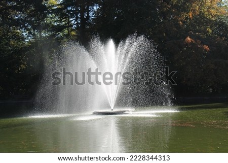 An Impressive Ornamental Water Fountain in a Large Pond.