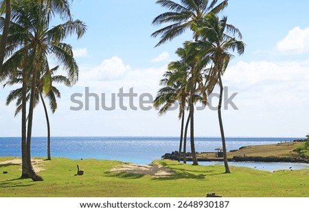 Impressive View of Anakena Beach with Rows of Pam Trees, Pacific Ocean Coast, Easter Island, Chile, South America