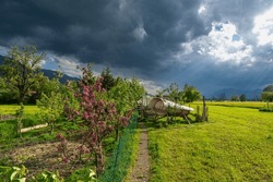 Impressive Weather Atmosphere, Chicken Coop Illuminated From Sun Rays Through The Clouds, Garden With Blooming Apricot Tree, Apple Tree, Plum Tree, Vegetables, Flowers Bloom In Dornbirn, Vorarlberg