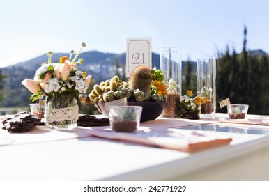 Impressive Wedding Table With Cactus And Flowers