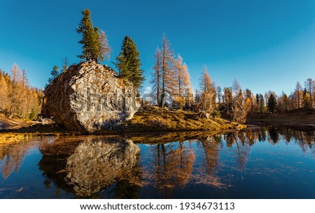Impressively beautiful Fairy-tale mountain lake in Alps. Beautiful rock Islands with fir trees under sunlight, reflection in calm water of Federa Lake and perfect blue sky on background. Dolmites alps