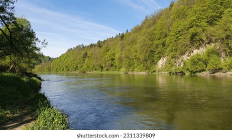 Impressively beautiful San River Bieszczady in Poland. Breathtaking  Scene. Panoramic view with plants - Shutterstock ID 2311339809
