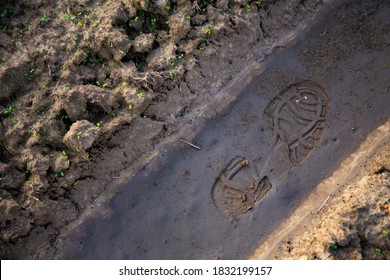 Imprint Of The Sole Of The Shoe On A Muddy Trail