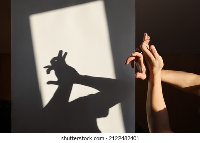 Improvised shadow theater, hands show silhouette of hare on white surface in the rays of sunlight - Shutterstock ID 2122482401