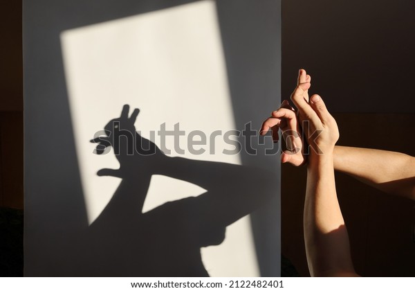 Improvised shadow theater, hands\
show silhouette of hare on white surface in the rays of\
sunlight