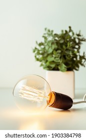 incandescent light bulb with tungsten filaments on white background. Save the energy