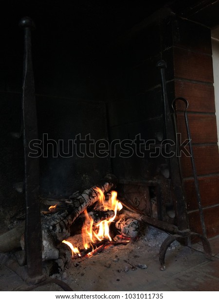 Incandescent Logs Flames Between Two Firedogs Royalty Free Stock