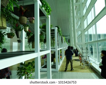 Incheon, South Korea, January 18, 2018, Flower Pots Are Hanging On An Indoor Garden On The Departure Floor In Incheon International Airport Terminal 2, Near Seoul, In Korea, Which Is Newly Opened.
