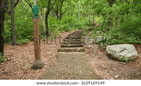 Incheon, South Korea - May 18, 2025. This photo shows a rocky path leading to a flight of stone steps that climb through lush green forest.