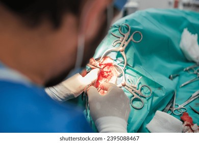 Incisive wound reduced by the surgeon in a surgical intervention. Concept: medicine, health care - Shutterstock ID 2395088467