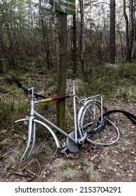 An Incomplete, Old Bike Left In The Woods By The Bike Path