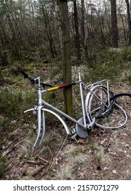 An Incomplete, Old Bike Left In The Woods By The Bike Path