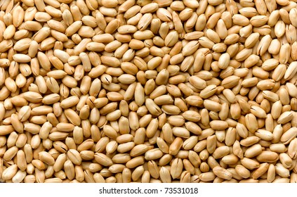 increase your protein by eating  peanuts