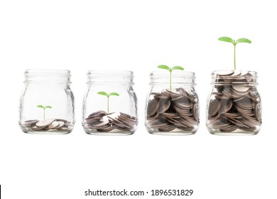 Increasing Growth Coins Money Inside Transparent Piggy Saving Jar With Plant ,investment Profit And Dividend Money Saving Concept.