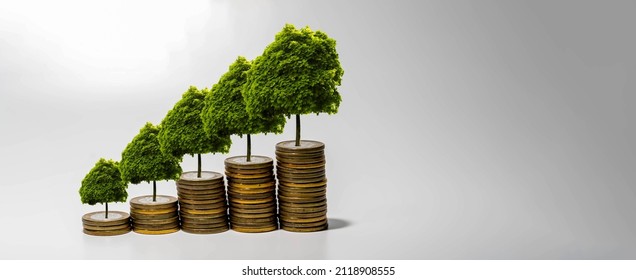 increasing Piles Of Coins with growing  plant on top. - Shutterstock ID 2118908555