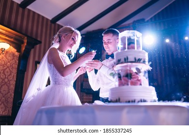 Incredible Couple Feeding Each Other A Wedding Cake