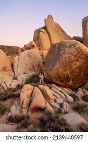 Incredible Nature Setting In Joshua Tree National Park At Sunset With Pink, Purple, Blue Gradient Dusk Sky. Tourist, Hiker In View. 