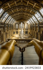 Incredible perspective photograph of whale skeleton in a museum