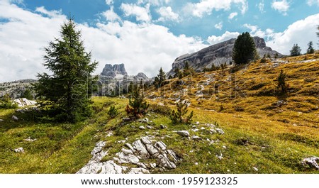 Incredible sunny mountain landscape. View on Alpine valley with pine trees, green grass and rock mounta on background. Amazing nature scenery at summer. Dolmites alps. Italy