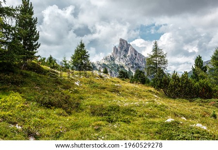 Incredible sunny mountain landscape. View on Alpine valley with pine trees, green grass and rock mounta on background. Amazing nature scenery at summer. Dolmites alps. Italy