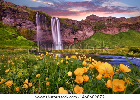Incredible sunset on Seljalandsfoss. One of the most beautiful waterfalls on the Iceland, Europe. Popular and famous tourist attraction summer holiday destination in on South Iceland. Travel postcard
