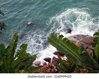 Incredible View Of The Sea, Cliffs And Palm Trees