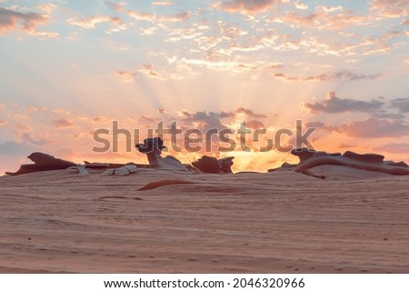 Incredibly beautiful sunrise at Fossil Dunes, Abu Dhabi, UAE. Best destinations