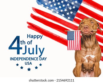 Independence Day. Adorable, pretty brown puppy and American Flag. Closeup, indoors. Studio shot. Congratulations for family, loved ones, friends and colleagues. Pets care concept