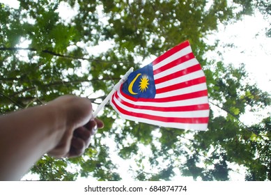 Pegang bendera malaysia