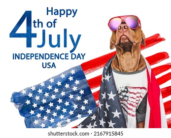 5,570 Pets independence day Images, Stock Photos & Vectors | Shutterstock