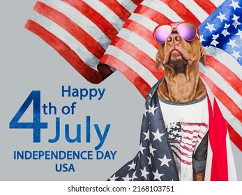 5,570 Pets independence day Images, Stock Photos & Vectors | Shutterstock