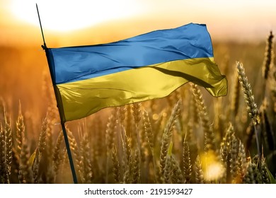 Independence Day of Ukraine Holiday  August 24 Volodymyr Zelenskyy