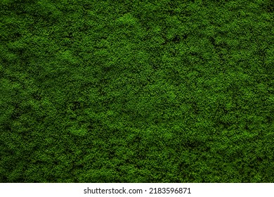 India, 12 July, 2022 : Moss background, green moss background, Green background, Moss, Background, Wallpaper, Texture. - Shutterstock ID 2183596871