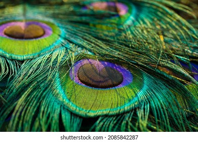 India, 19 February, 2021 : Peacock feathers, Feather pattern, Peafowl feather, Bird feathers, Miscellaneous, Miscellaneous background, Miscellaneous wallpaper. - Shutterstock ID 2085842287
