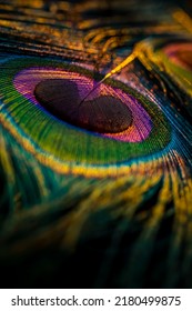 India, 26 February, 2021 : Peacock feather, Peafowl feather, Bird feather, Colorful feather, Background, Wallpaper, macro photography, Closeup. - Shutterstock ID 2180499875