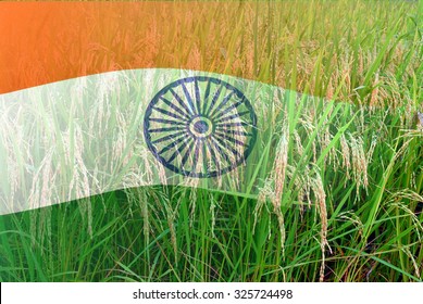 India Flag Merged With Paddy In Full Bloom, Double Exposure Shot, Concept Of Earning Money From Agriculture