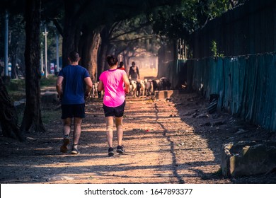 INDIA, KOLKATA, 9th FEBRUARY 2020: Indian Young Couple Jogging At Outdoor In Nature.