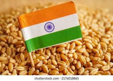 India On Grain Wheat, Trade Export And Economy Concept.