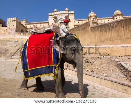 India, Rajasthan, Jaipur, the Amber Fort, elephant driver