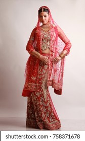 Indian bride in traditional bridal sari in studio lighting indoor