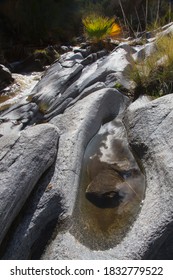 Indian Canyons, Palm Springs, California