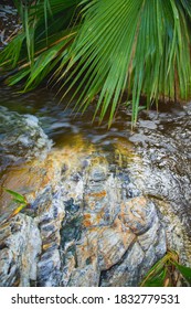 Indian Canyons, Palm Springs, California