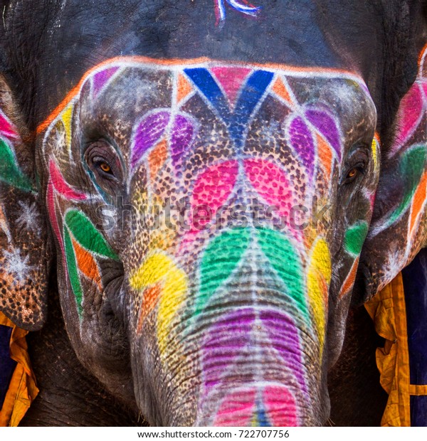 Indian Elephant Amber Fort Jaipur India Stock Photo 722707756 ...