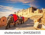 Indian elephant riders in Amber Fort, famous tourist attraction, Jaipur, India