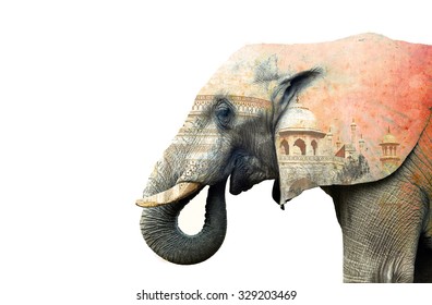 Indian elephant and Taj Mahal in Agra - India. White background with space for idea.