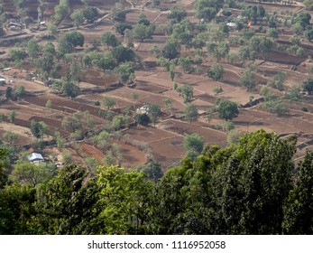 Collections by Niranjan Gaikwad | Shutterstock