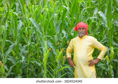 Indian Farmer At Corn Field