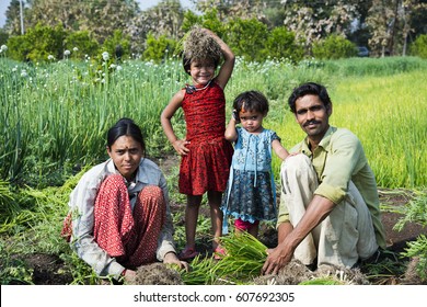 Indian Farmer With Family Working In Onion Field, Maharashtra, India.