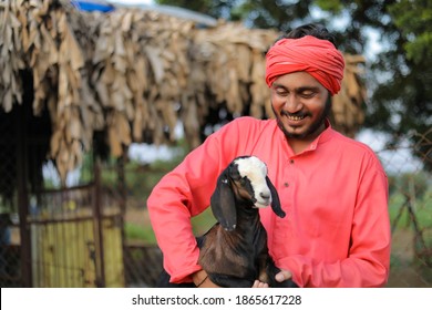 Indian Farmer In Goat Dairy Farm